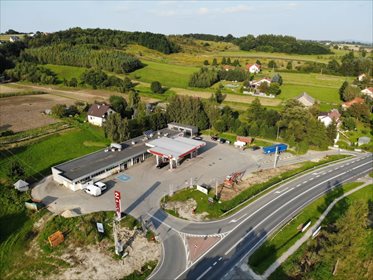 Lokal użytkowy na wynajem Tymowa 65m2 Foto 6