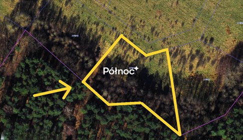 Działka 3093 m² pod dom w zielonej okolicy Radomska działka Radomsko