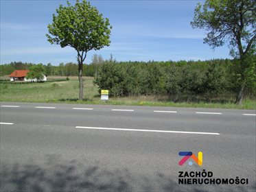 działka na sprzedaż 6000m2 działka Zimna Brzeźnica