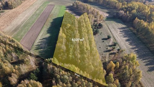 Sprzedam zalesioną działkę 8 337 m² w Strzeszewie działka Strzeszewo