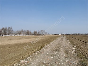 działka na sprzedaż 950m2 działka Falenty Nowe