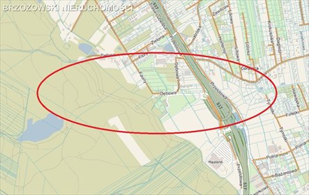 działka na sprzedaż 10000m2 działka Góraszka