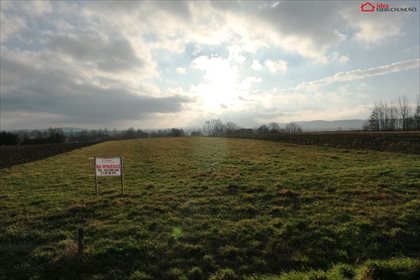 Działka budowlana na sprzedaż Bzianka 1 592m2 Foto 3