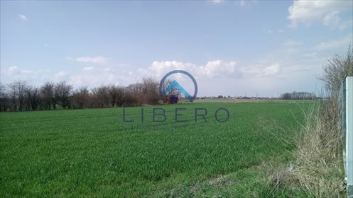 Sprzedam działkę 4158 m² pod zabudowę 3 domów w Kacicach działka Kacice
