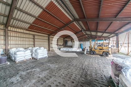 Magazyn na sprzedaż Pszczółki 1 653m2 Foto 6