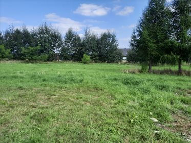 Działka budowlana na sprzedaż Leśna 7 700m2 Foto 2