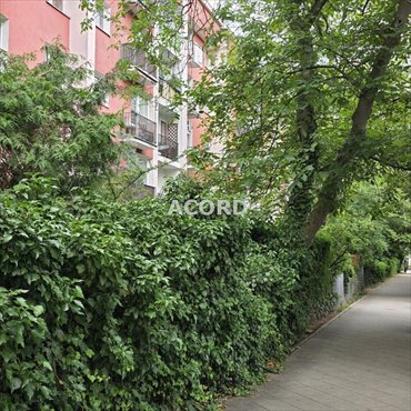 Urokliwe 24,5 m² na Żoliborzu - polecam mieszkanie Warszawa, Żoliborz, Żoliborz, Gen. Józefa Zajączka