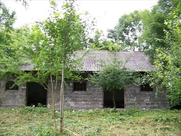 Działka budowlana na sprzedaż Imielno 7 700m2 Foto 5