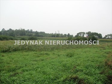 Działka 19 910 m² z wodami mineralnymi w Pawłówku. działka Pawłówek