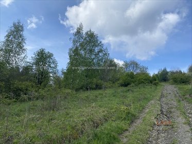 Na sprzedaż działka leśna 3,8 ha z dojazdem 4x4 w Jaszczurowej działka Jaszczurowa