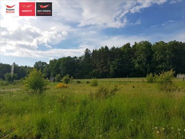 Działka budowlana 1604 m² w Łężycach - zapraszam działka Łężyce, Topolowa