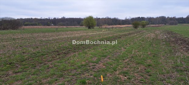 działka na sprzedaż 8587m2 działka Jodłówka