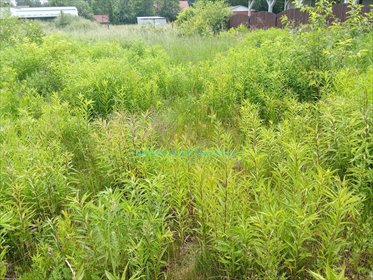 działka na sprzedaż 1010m2 działka Zalesie