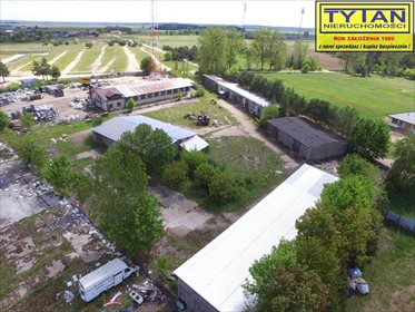 magazyn na wynajem 1254m2 magazyn Nowogród