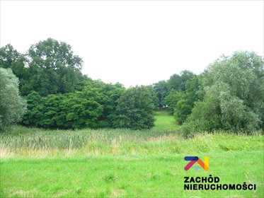 działka na sprzedaż 22600m2 działka Przytok