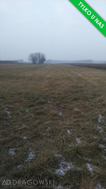 Działka rolna na sprzedaż Ludwinowo Zegrzyńskie 10 098m2 Foto 3