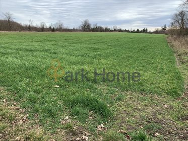 Działka budowlana na sprzedaż Dębno 36 000m2 Foto 4
