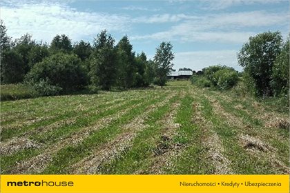 Działka rolna na sprzedaż Pierwągi, Jeziorany 5 991m2 Foto 3