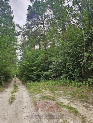 działka na sprzedaż 2000m2 działka Pniewy