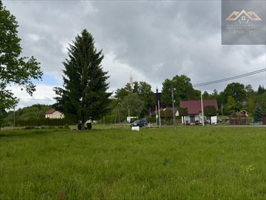 działka na sprzedaż 4500m2 działka Łęki Dolne