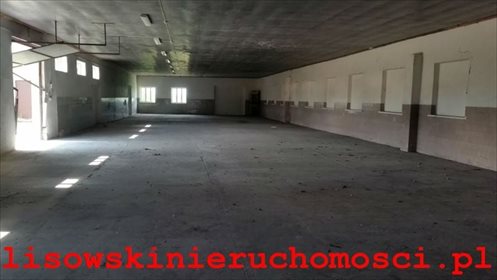 Magazyn na sprzedaż Bielawy 3 200m2 Foto 3