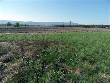 Działka rolna na sprzedaż Karłowiec, okolice Świerdadowa 5 300m2 Foto 6