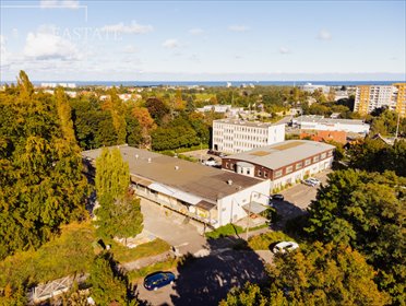 lokal użytkowy na wynajem 338m2 lokal użytkowy Sopot, Aleja Niepodległości