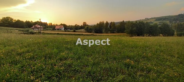 działka na sprzedaż 2500m2 działka Tyczyn, Borek Stary