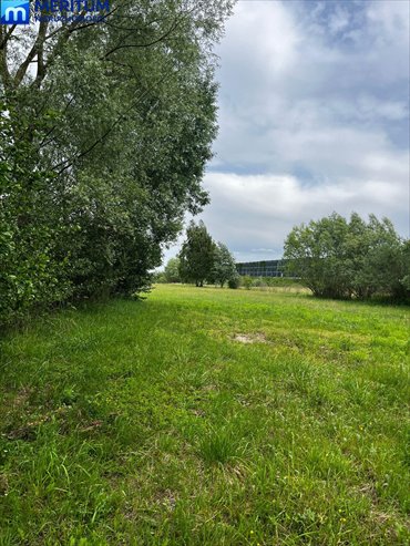 Dom z dużą działką i możliwością aranżacji dom Kopiska