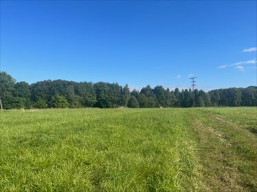 działka na sprzedaż 1295m2 działka Włosień