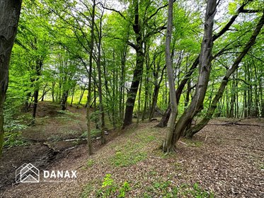 działka na sprzedaż 2962m2 działka Lednica Górna