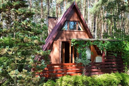 Leśny domek \"Brda\" 44 m² na działce 1172 m² (Tuchlin) dom Tuchlin