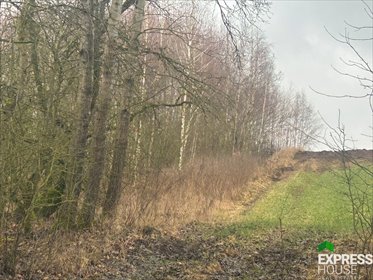 działka na sprzedaż 3600m2 działka Koziki