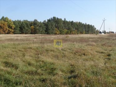 Działka budowlana na sprzedaż Karolina 4 000m2 Foto 3