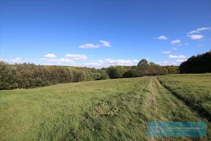 działka na sprzedaż 7700m2 działka Hucisko Jawornickie