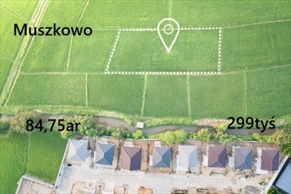 Działka 8 475 m² w Muszkowie (potencjał inwestycyjny) działka Muszkowo