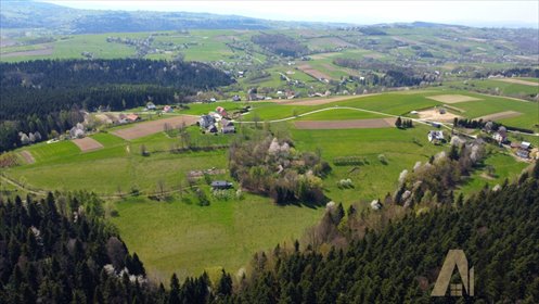 działka na sprzedaż 100m2 działka Korzenna