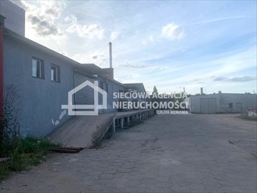 Lokal użytkowy na sprzedaż Liniewo 548m2 Foto 4