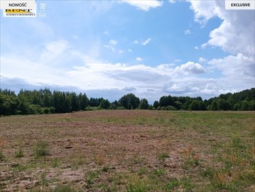 Działka 3008 m² z mediami, blisko natury. działka Długie