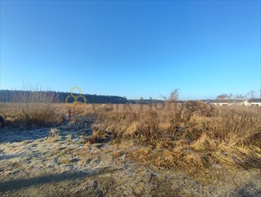 działka na sprzedaż 853m2 działka Luciny