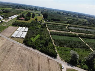 Działka inna na sprzedaż Wola Magnuszewska 5 440m2 Foto 3