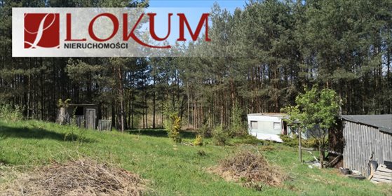 Działka budowlana na sprzedaż Biały Bukowiec 59 600m2 Foto 7