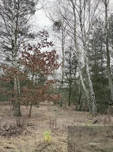 działka na sprzedaż 3940m2 działka Altanka