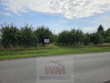działka na sprzedaż 42500m2 działka Warka