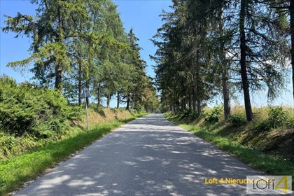 Działka 5600 m² pod zabudowę wielofunkcyjną - polecam działka Ciężkowice