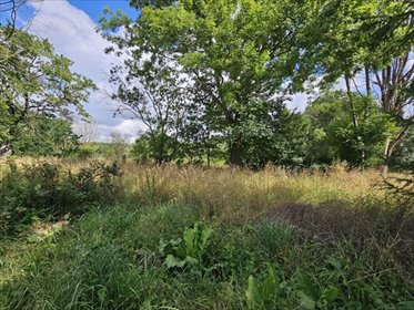 działka na sprzedaż 3608m2 działka Redęcin