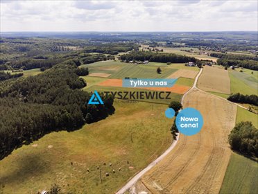 Działka rolna 3 111 m² w Milwinie – spokój i bliskość natury działka Milwino, Rolnicza