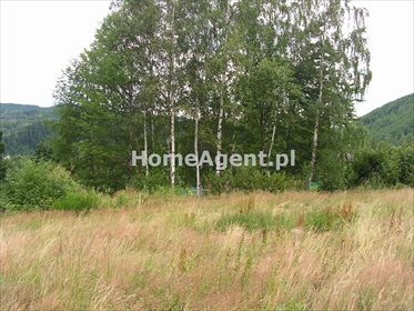 Działka budowlana na sprzedaż Skawica, Sucha Góra 14 591m2 Foto 6