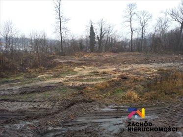 Działka przemysłowo-handlowa na sprzedaż Jasień 29 430m2 Foto 2