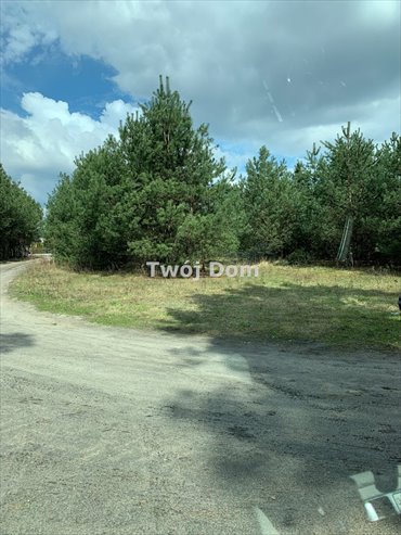 Działka budowlana 3225 m² z mediami i lasem w Łochowie działka Łochowo